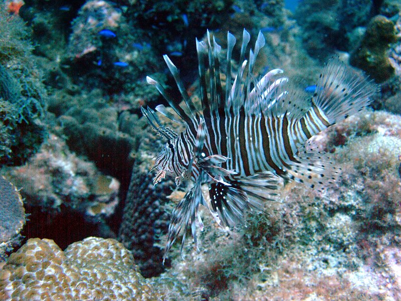 Curacao 04-12 291.JPG